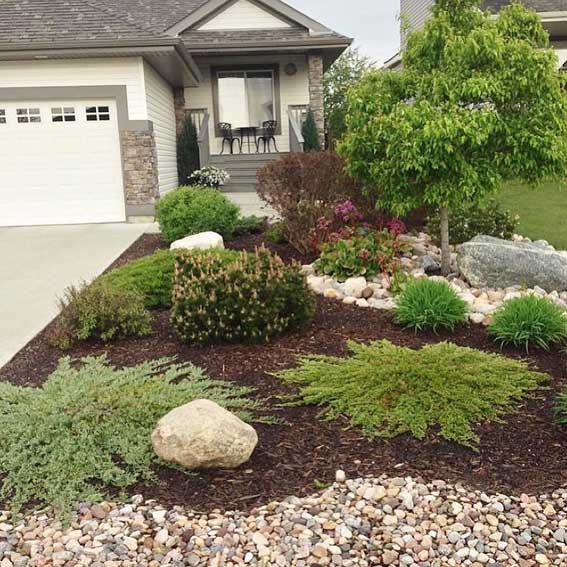 flower beds and mulch